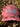 Snapback Trucker hat - Pink Camo