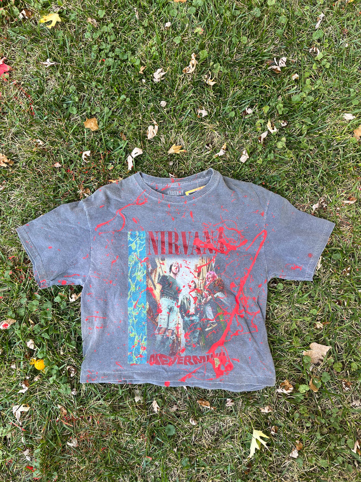 Nirvana Crop top - Medium 1of1